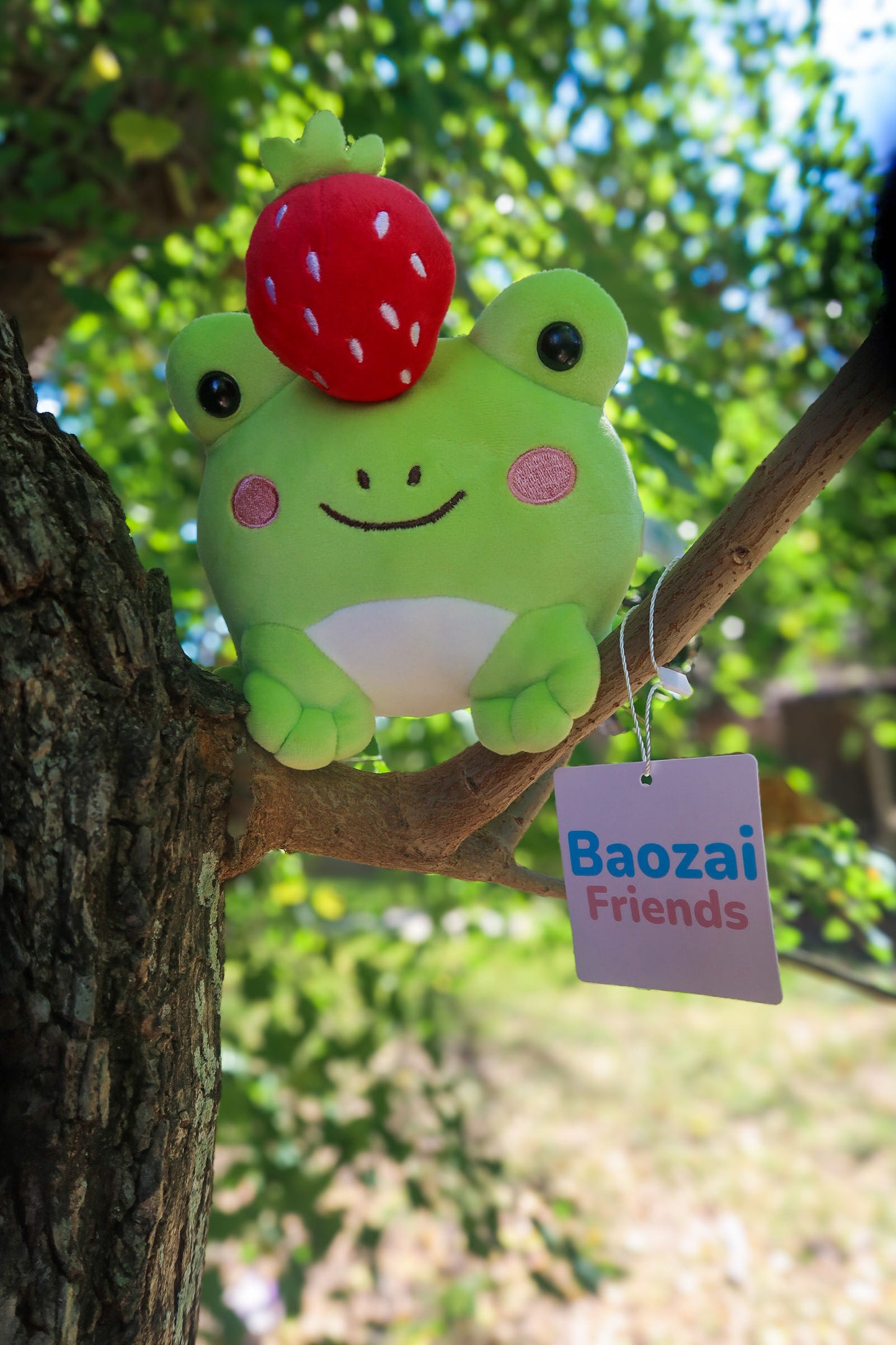 Ichigo the Frog - Strawberry Top Plushie (8")