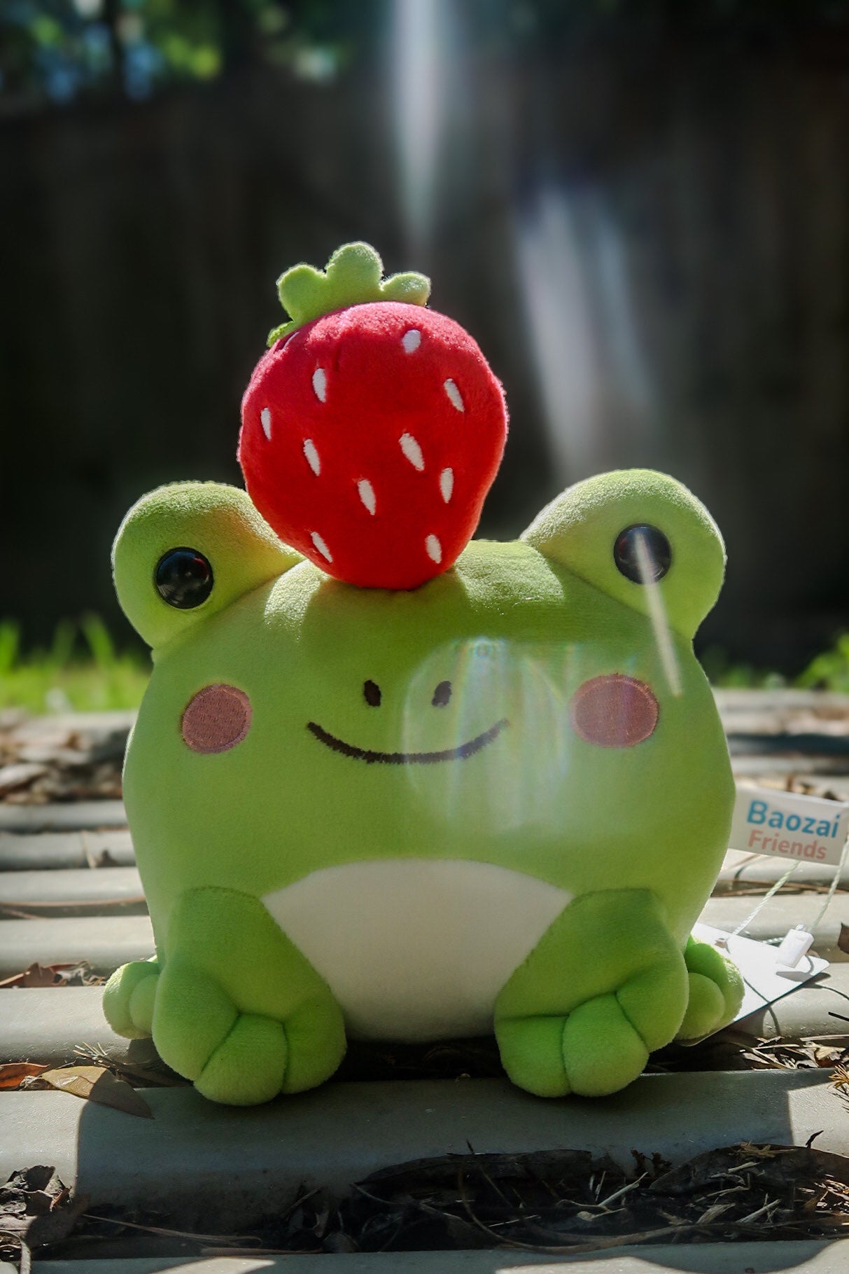Ichigo the Frog - Strawberry Top Plushie (8")