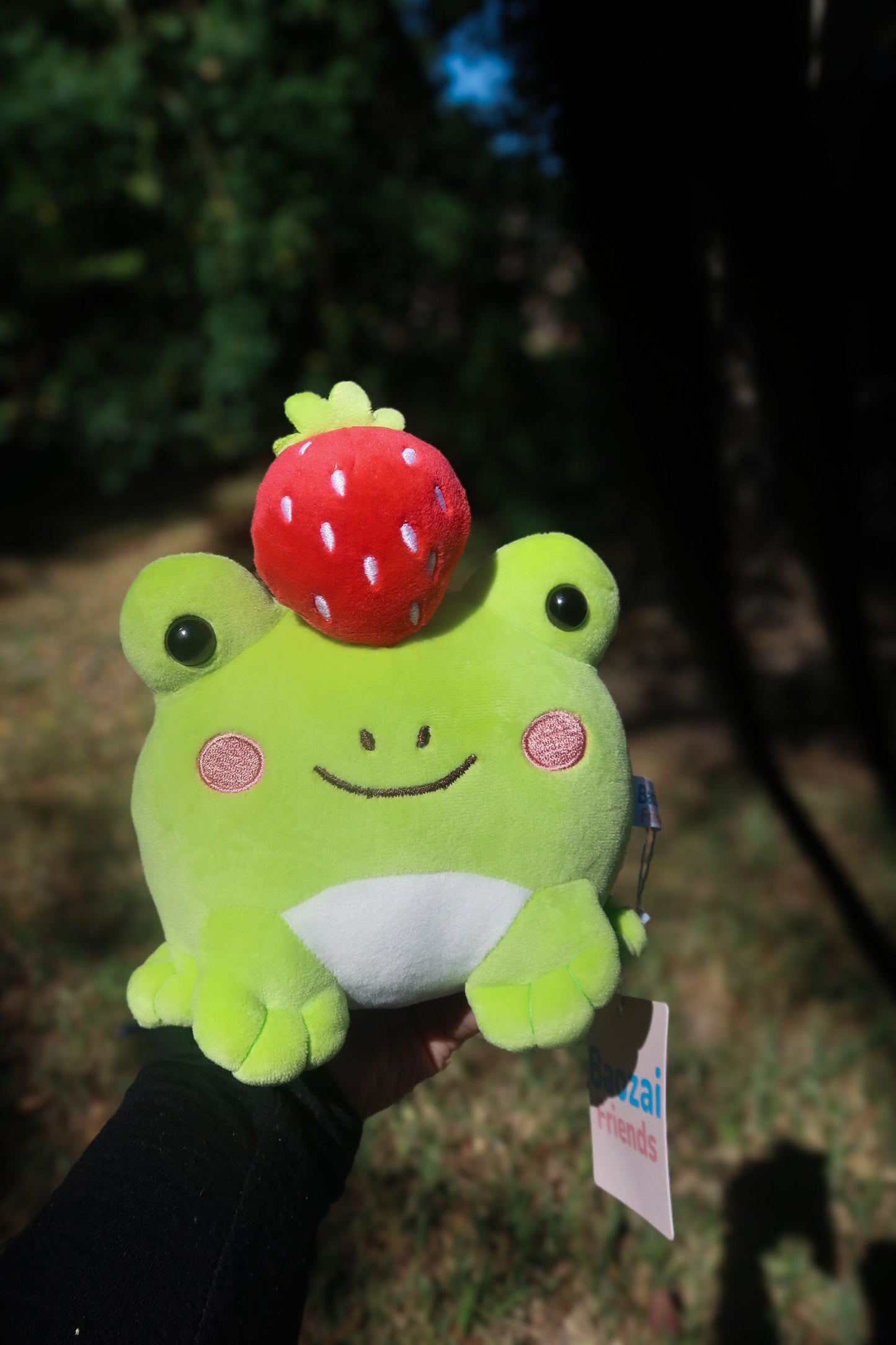 Ichigo the Frog - Strawberry Top Plushie (8")