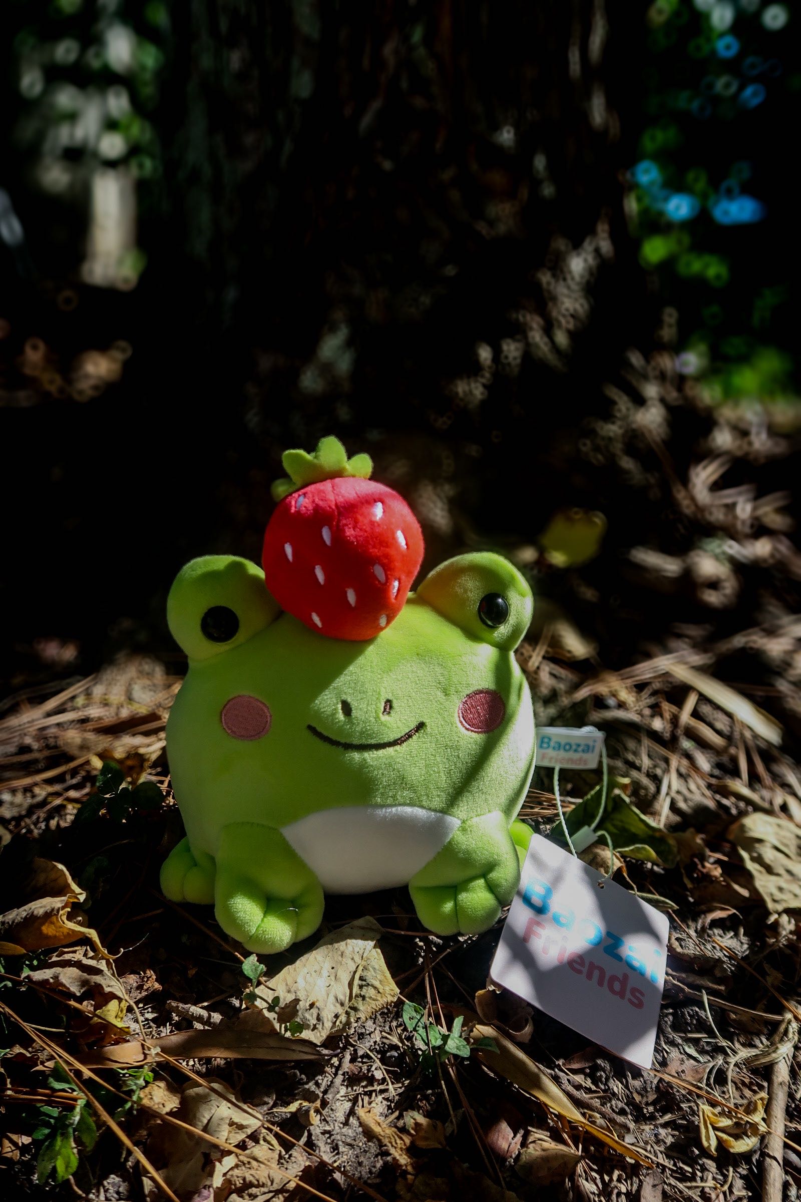 Ichigo the Frog - Strawberry Top Plushie (8