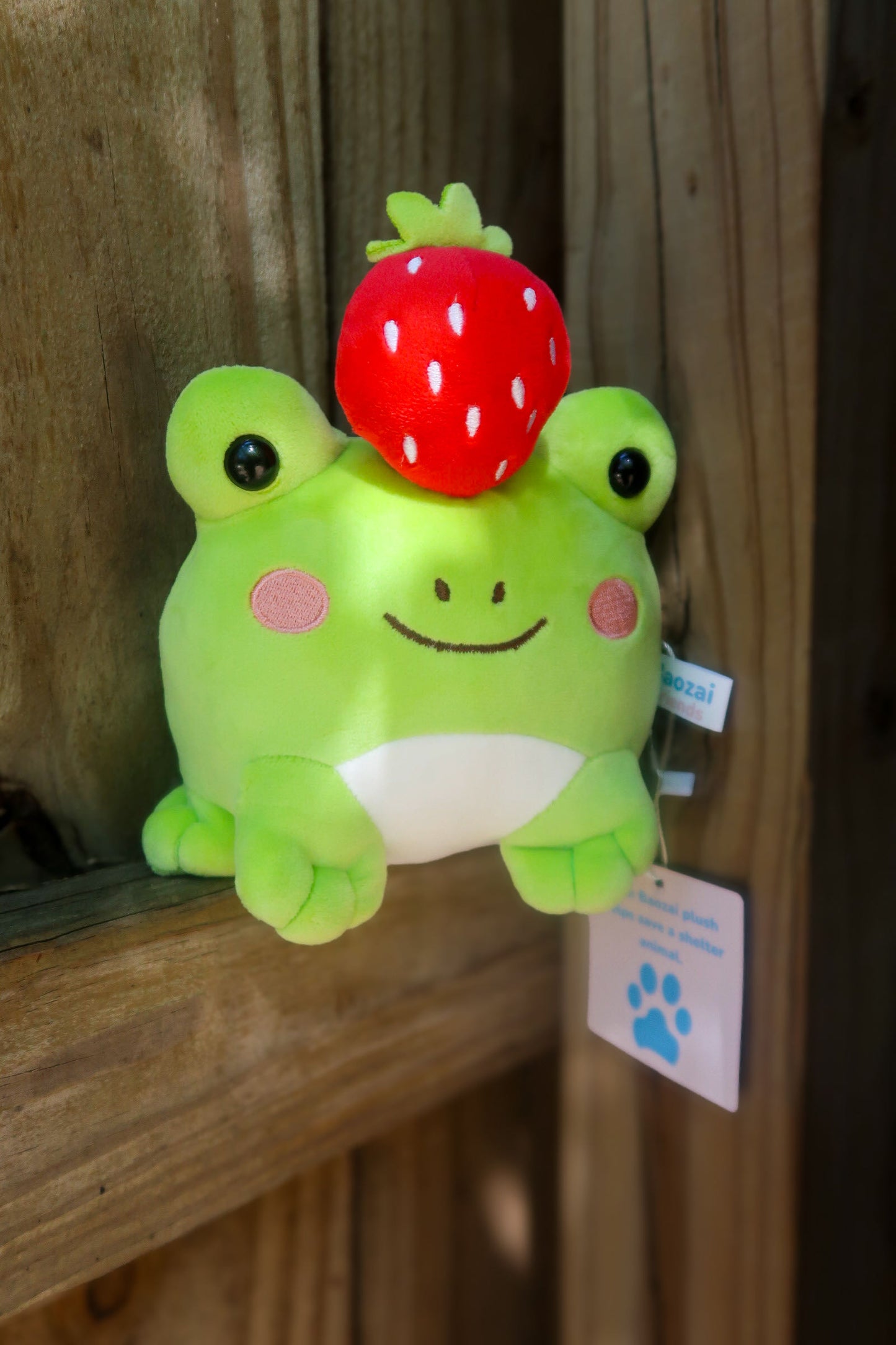 Ichigo the Frog - Strawberry Top Plushie (8")